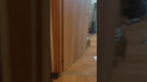 как ты начинаешь свою утро
