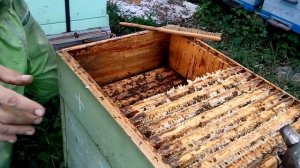 Отбор рамок с медом