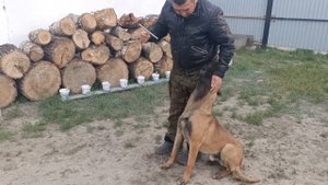 Выборка вещи по запаху человека