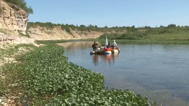 Федя Карманов   Скрипач