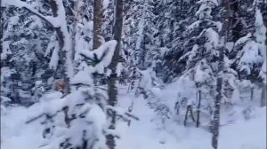 После снегопада