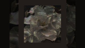 Dangerously yours x Cigarettes out of the window (Full version)