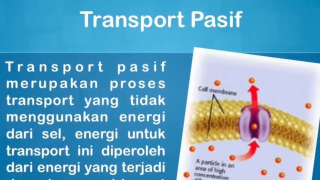 Nutrisi  Medium Tumbuh Mikroba