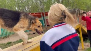 Дорогая Фаина Борисовна! Привет от Елены. Новости зоогородка.