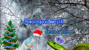Белка и Змея. Новогодний выпуск