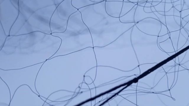 орнитологические сети 8*4 обзор сетки