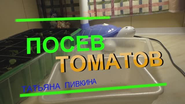 Томаты (ч.2), СЕЕМ семена на рассаду  с ТатьянойПивкиной МАРТ (N2)