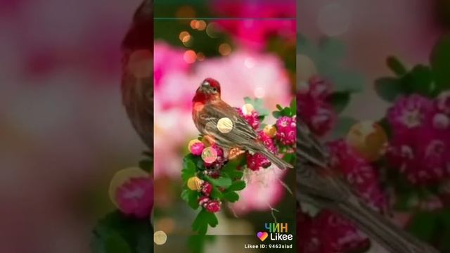 С добрым весенним утром! смотреть онлайн