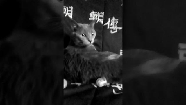 Тима потерялся! 😭😭Серия 4 смотреть онлайн