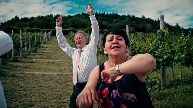 I LOVE YOU BABY David & Hanka Svatební klip (Videojinak) смотреть онлайн