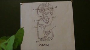 Интересно, с чем всё это связано