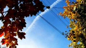 ОСЕНЬ багряная