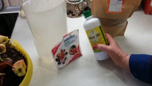 ОТЛИЧНОЕ УДОБРЕНИЕ из пищевых отходов. Как приготовить?