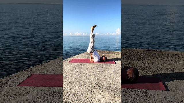 ПОЗА ПЕРЕВЕРНУТОЙ ПЕЧАТИ в йоге| показывает Владислав Шульц