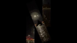 Вигу-слышу твой нежный голос