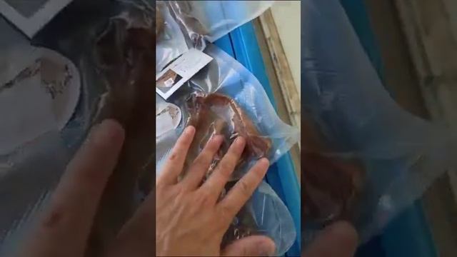 Лакомства на выставку 16 июня Краснодар