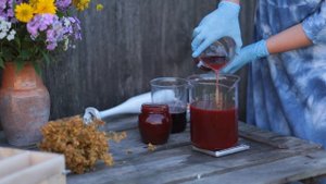 Создание потрясающего красного масла из зверобоя. Целебные мыло и мазь.