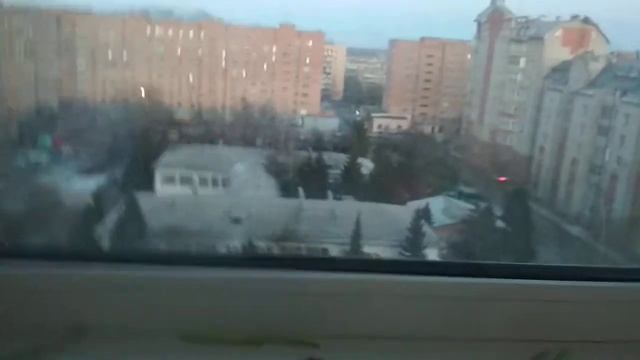 Фильм:Бешеные животные😂