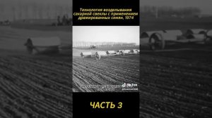 Технология выращивания сахарной свеклы часть 3