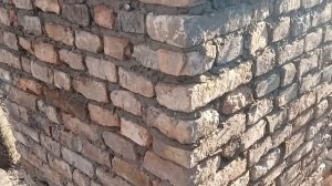 СПОРТИВНІ ГОЛУБИ Молоді мої голуби і які плани GOLEBIE POCZTOWE SPORT PIGEONS