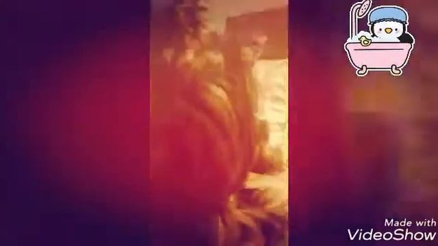 Как собака это может? смотреть онлайн