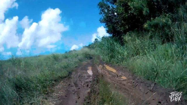 Barbados Island Safari Madness!  VLOG 04