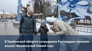 В Тамбовской области сотрудники Росгвардии провели акцию «Безопасный Новый год»