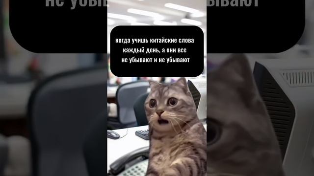 Отправляй подруге, которая все не может выучить китайский  #китайскийязыконлайн  #Снулядохао