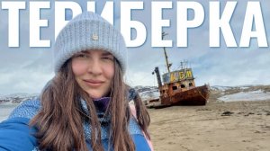 КОРМЛЮ ОЛЕНЕЙ, ЕМ МОРСКИХ ЕЖЕЙ | ОДИН ДЕНЬ В ТЕРИБЕРКЕ - ЧТО МЫ УСПЕЛИ ПОСМОТРЕТЬ НА КРАЮ СВЕТА