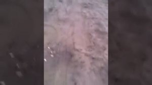 Мальчик кукарекает 2