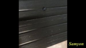 Фтористая смазка для лыж и вода - интересные эффекты