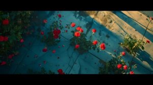 ROSES IN LOS ANGELES | AI short film | runway gen-2 | Midjourney 6.0
