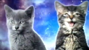Котики поют в космосе