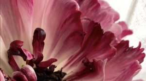 Любовные истории. Рассказ "Мелодии влюбленного сердца" Истории любви. Аудио