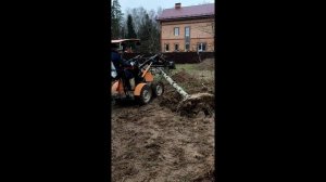 выкорчевать берёзу мини погрузчиком