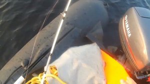 🎣вертушка рулит. окунь клюёт как сумашедший. #fish #fishing #рыбалка #окунь #блесна