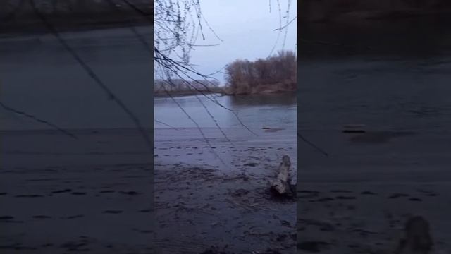 Приднестровье, река Днест, вечер у костра #рекомендации #топ #music #еда #врек #cover #готовим #bea смотреть онлайн