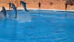 2015 июль Ozkaymak select resort hotel