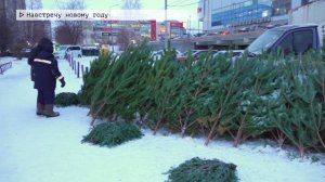 Время местное. Эфир: 25-12-2024 - Навстречу новому году