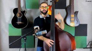 Отремонтировали контрабас (Замена грифа, подставки, душки, порожка, шпиля) Как звучит после?