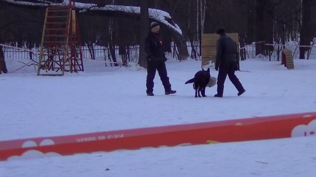 Леха и Ника ЗКС Ховрино смотреть онлайн