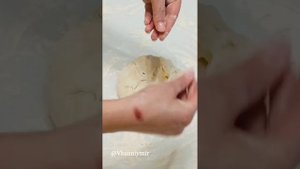 КАК ВЫГЛЯДИТ ТЕСТО ЕСЛИ ОНО ХОРОШО ВЫБРОЖЕНО !
