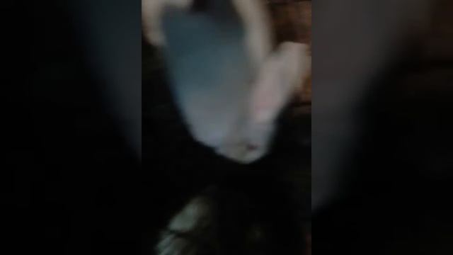 маи домашние животные часть 2 смотреть онлайн