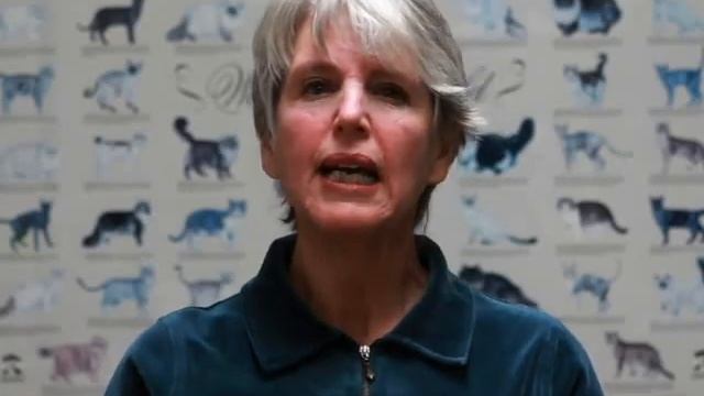 Center-Sinai Animal Hospital, animal hospital, veterinarian, Los Angeles, CA смотреть онлайн