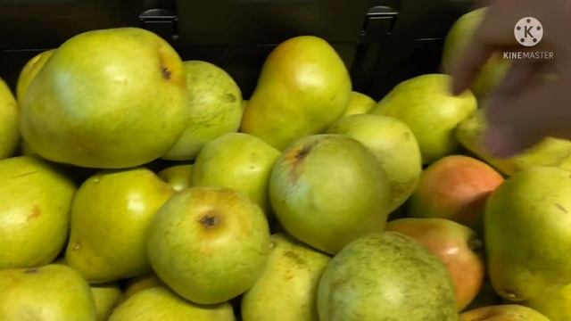 Home Garden With Apple Pears And Peaches In Chicago This Video Is In Hindi Language😍😍🍏🍐🍑 смотреть онлайн