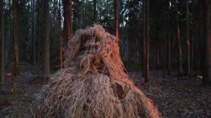 Одинокий снайпер