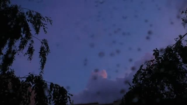 groza20200618 смотреть онлайн