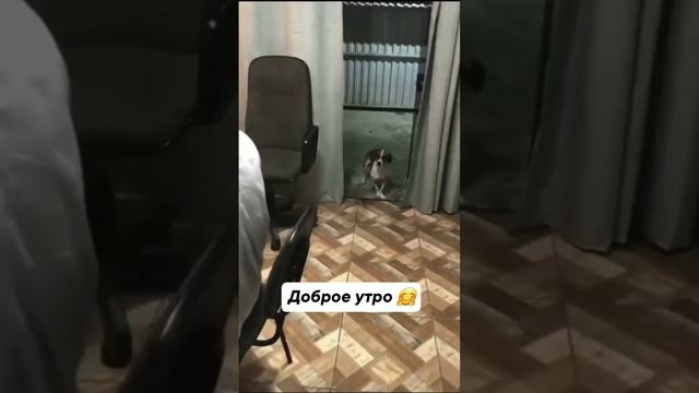 Доброе утро 🤗