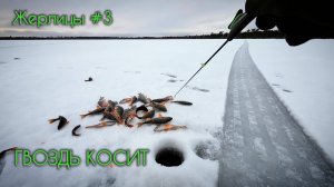 Проверил жерлицы, накосил окуней на гвоздь  #зимняярыбалка #первыйлёд #окунь #щука #сибирь #блесна