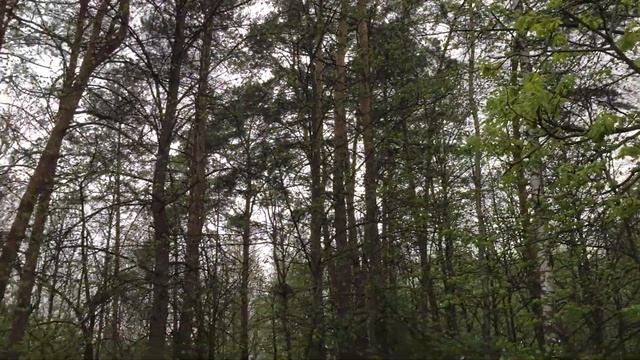 Сероводородные озера часть 2. (Селезень) смотреть онлайн